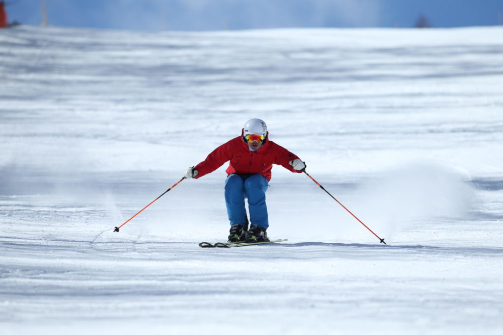 フィッシャー GS 180cm アルペンスキー 基礎スキー - スキー